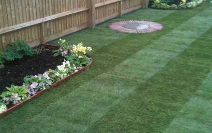 Professional Gardener in High Wycombe and Marlow