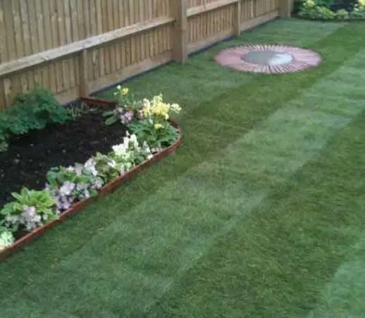 Tree & Gardening Services